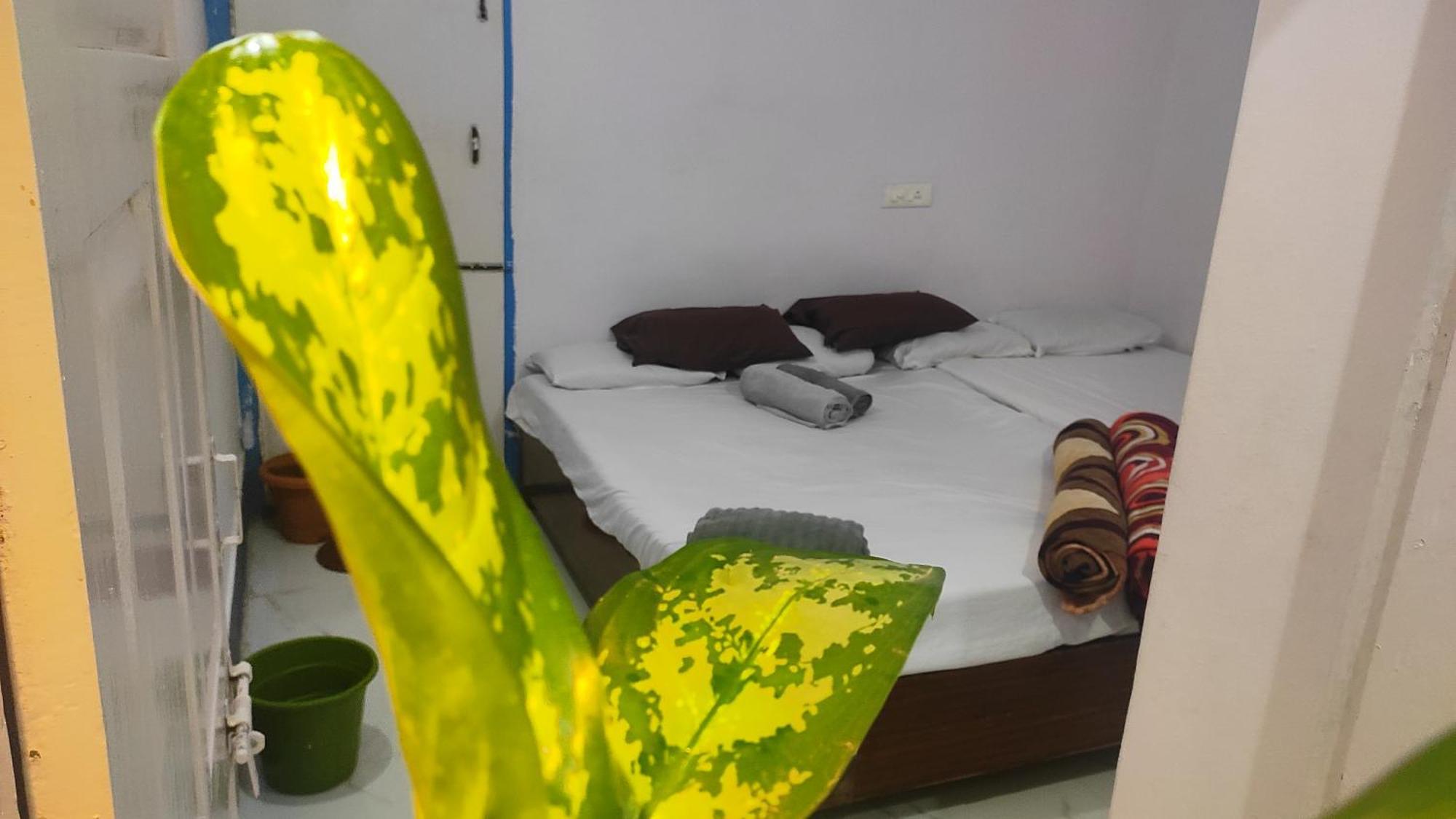 Hotel Adh Amilia Gardens Narasimharaja Puram Zewnętrze zdjęcie