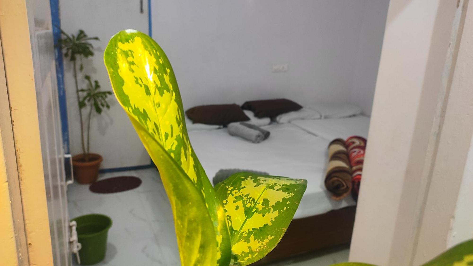 Hotel Adh Amilia Gardens Narasimharaja Puram Zewnętrze zdjęcie